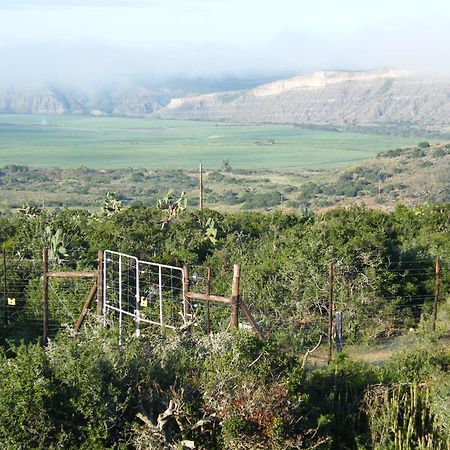 Kudu Ridge Game Lodge Addo Exteriör bild