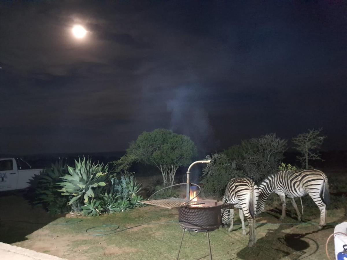 Kudu Ridge Game Lodge Addo Exteriör bild
