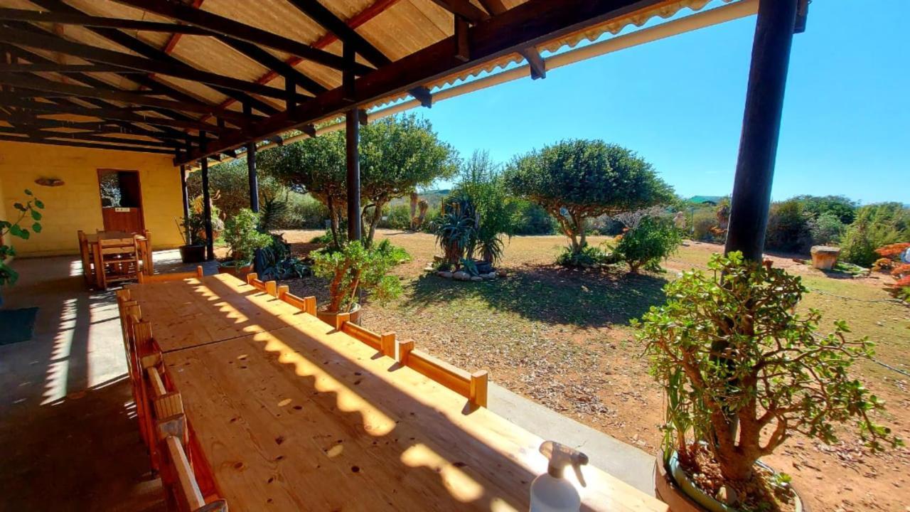 Kudu Ridge Game Lodge Addo Exteriör bild