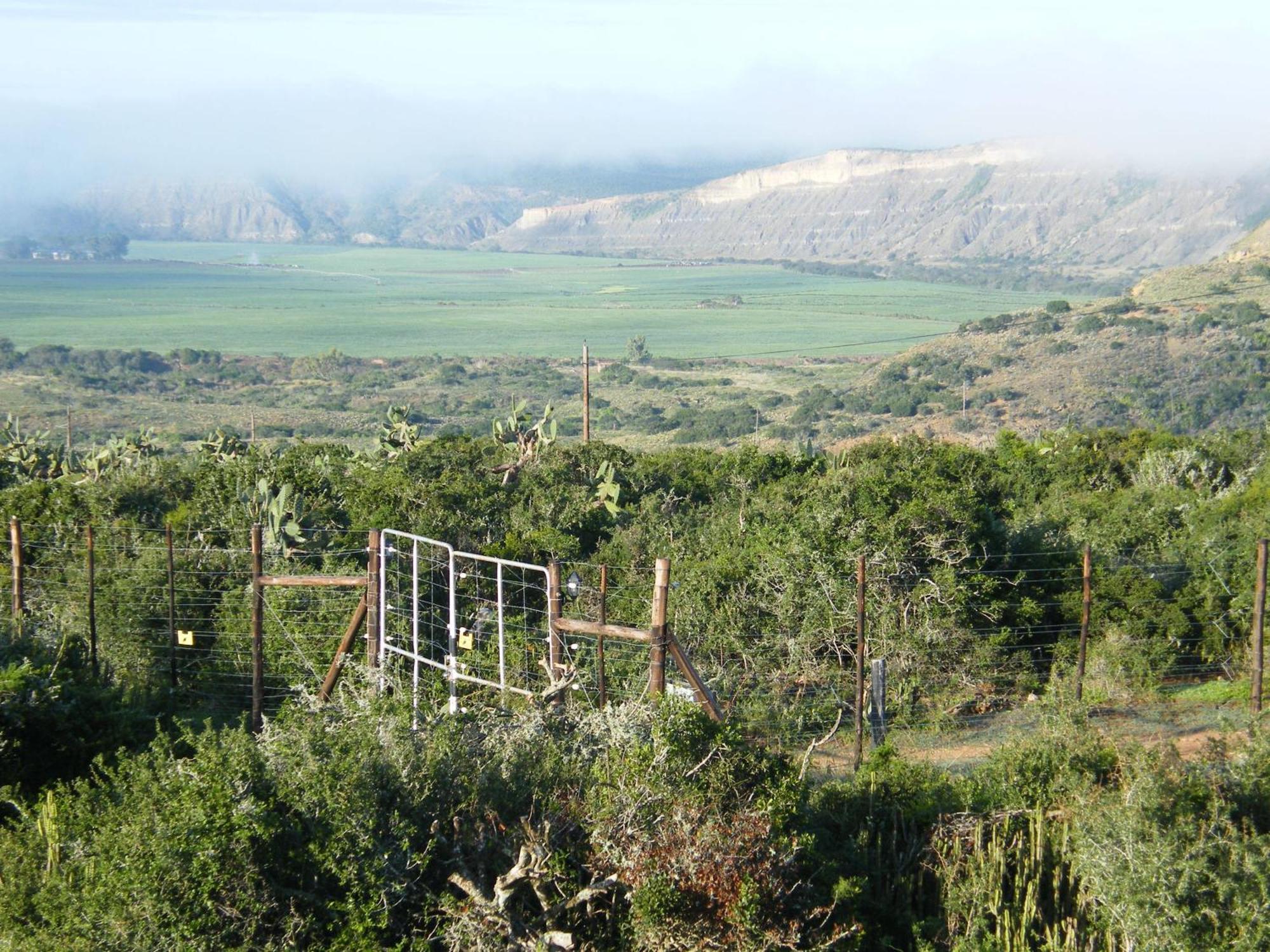 Kudu Ridge Game Lodge Addo Exteriör bild