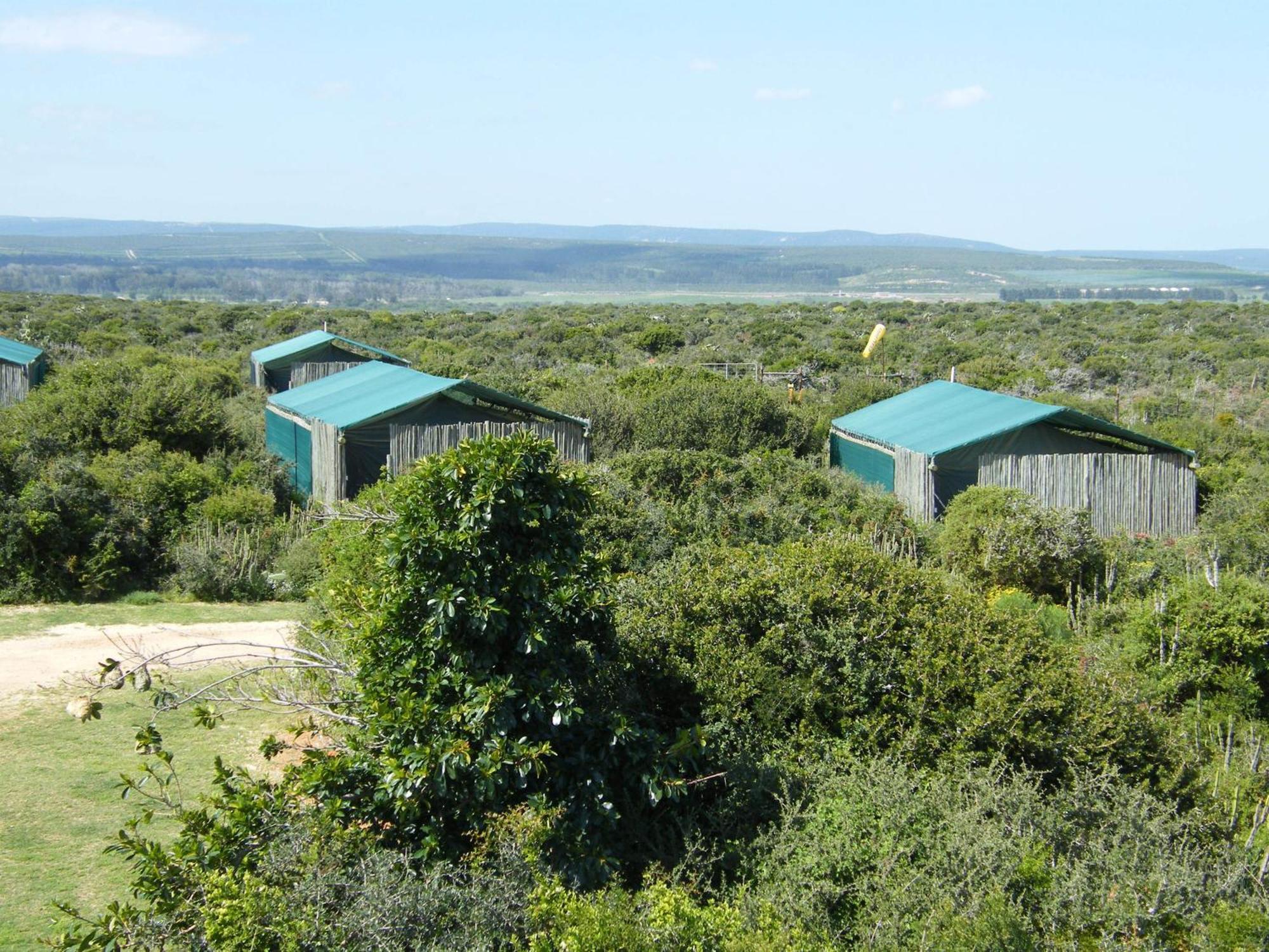 Kudu Ridge Game Lodge Addo Rum bild