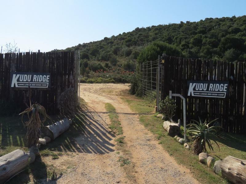 Kudu Ridge Game Lodge Addo Exteriör bild