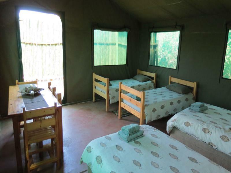 Kudu Ridge Game Lodge Addo Exteriör bild